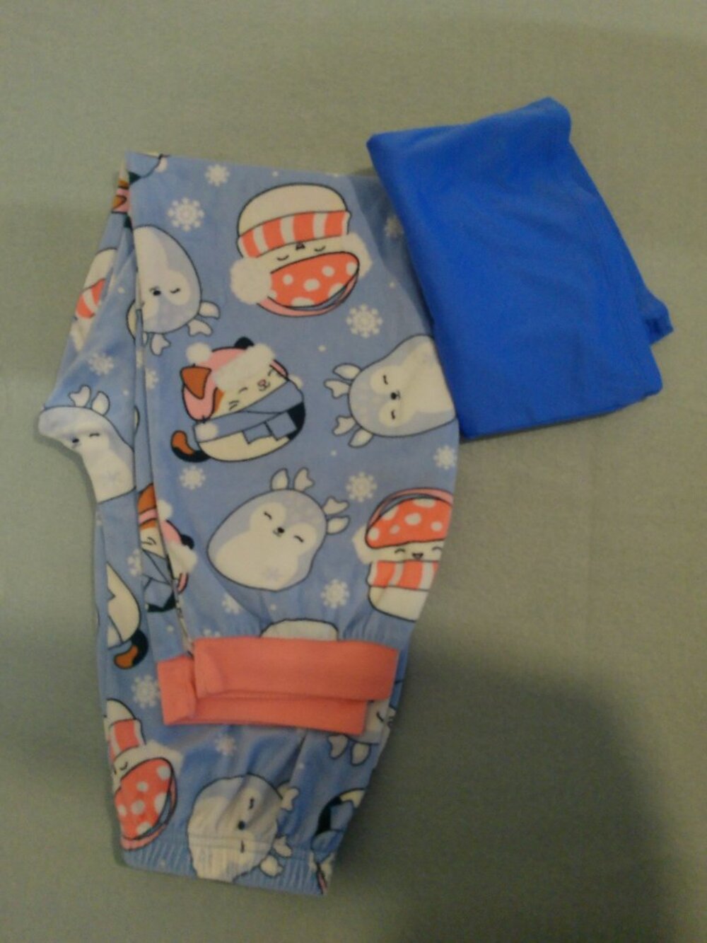 Pajama Set Girls Pants and top See Pictures